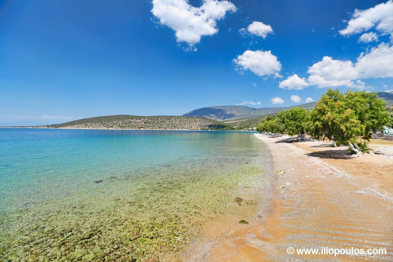 Arilena Studios Paralia  Kültér fotó