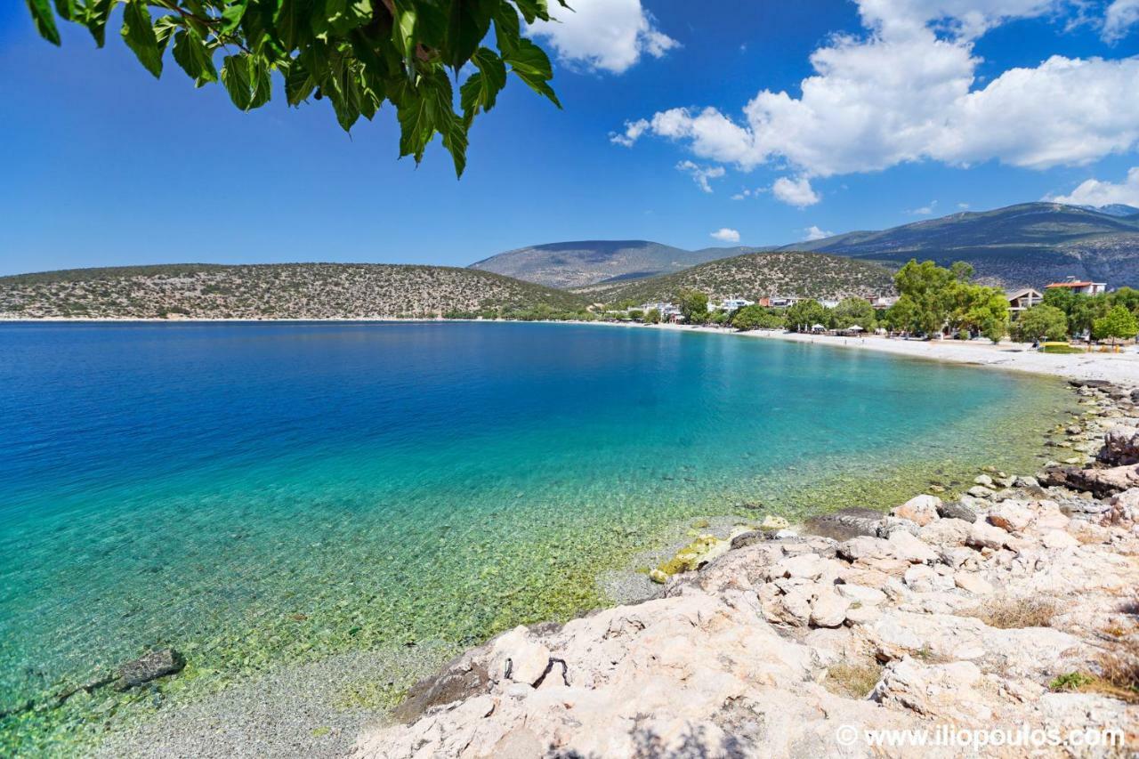 Arilena Studios Paralia  Kültér fotó